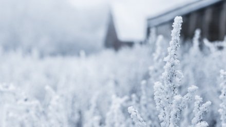 Метеорологи предупредили об аномальных морозах в Воронежской области