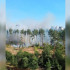 Воронежцы сообщили о мощном пожаре в Северном лесу