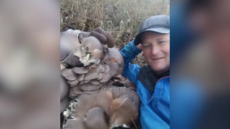 Воронежские любители «тихой охоты» похвастались уловом гигантских грибов