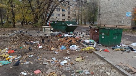 Воронежцам-отпускникам разрешат не платить за вывоз мусора
