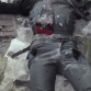 Появилось видео последствий ликвидации украинских террористов в Воронежской области