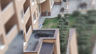 Женщина выпала с балкона многоэтажки на Левом берегу Воронежа