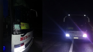 Под Воронежем водитель автобуса насмерть сбил пешехода