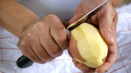 В Воронежской области заботливая жена умерла от запущенного перитонита после ножевого ранения