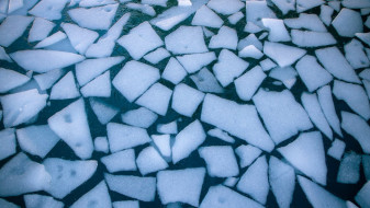 В Воронежской области нашли примёрзший ко льду труп мужчины