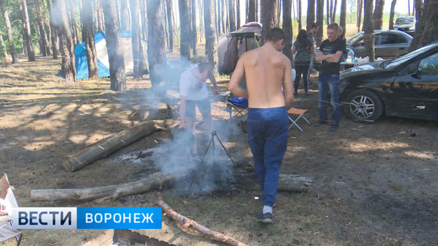 В биосферном заповеднике подсчитали ущерб от незаконных действий воронежцев
