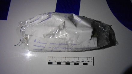Задержанный воронежский актёр рассказал, где взял 12 пакетиков марихуаны