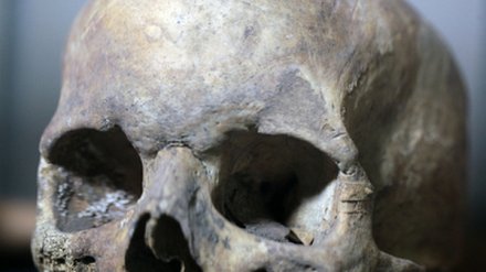 В подвале воронежского дома нашли скелет человека