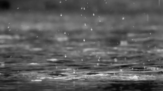 Ежедневные дожди спрогнозировали синоптики перед Новым годом