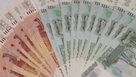 Зарплаты воронежских бюджетников вырастут с 1 января