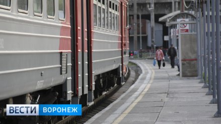 Перевозчик продлит маршрут фирменного поезда Воронеж – Москва и сохранит цену на билеты