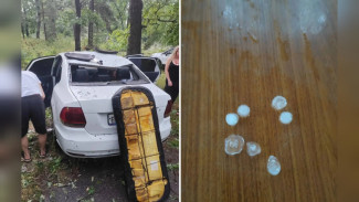Дерево упало на машины на воронежской турбазе