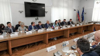 «Единая Россия» и Народный совет ДНР обсудили возвращение Донбасса к мирной жизни