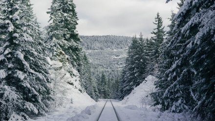 Опасные снежные заносы ожидаются в Воронежской области