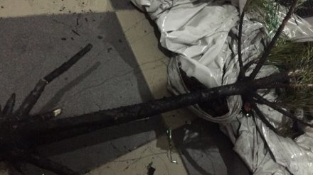В воронежской квартире случился пожар из-за вспыхнувшей новогодней ёлки