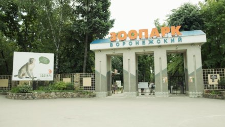 Как будет работать Воронежский зоопарк в новогодние праздники