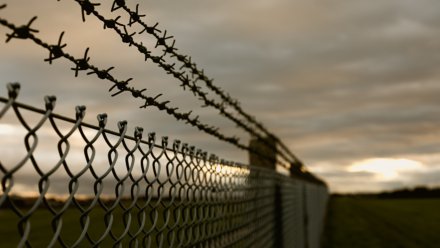 В Воронежской области зэка оштрафовали за тату с экстремистской символикой