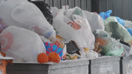 В Воронеже дети организовали бизнес по выносу мусора в мороз
