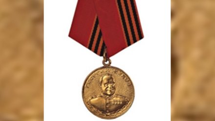 Воронежских бойцов спецоперации наградили медалью Жукова и Георгиевским крестом