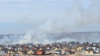 У озера Круглое в Воронеже потушили 1,5 га горящей травы