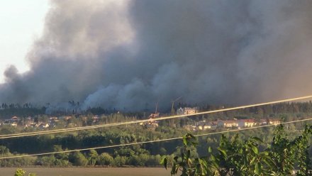 30 ландшафтных пожаров произошло в Воронежской области 9 марта