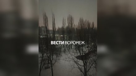 Свет отключили в Северном микрорайоне Воронежа