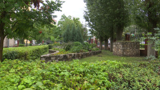 В Воронеже приступили к выбору победителей конкурса «Город в цветах»