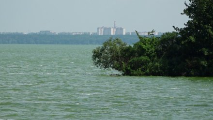 Берег Воронежского водохранилища стал шире на 150 м
