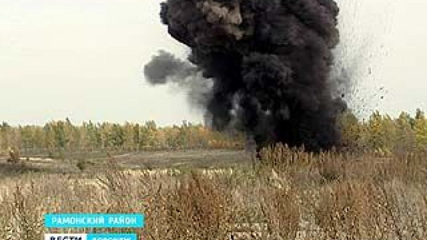 В Рамонском районе уничтожили 833 единицы боеприпасов времен ВОВ