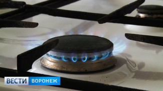 Воронежских собственников квартир с газом обяжут пройти инструктаж