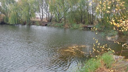 Пропавшего в Воронежской области 89-летнего пенсионера нашли в реке