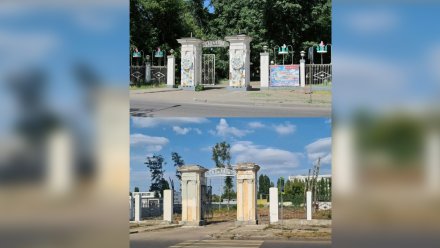Благоустройство воронежского парка стало причиной споров в паблике Ильи Варламова