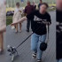 В Воронеже женщина напала на маму с ребёнком после просьбы убирать за питомцем