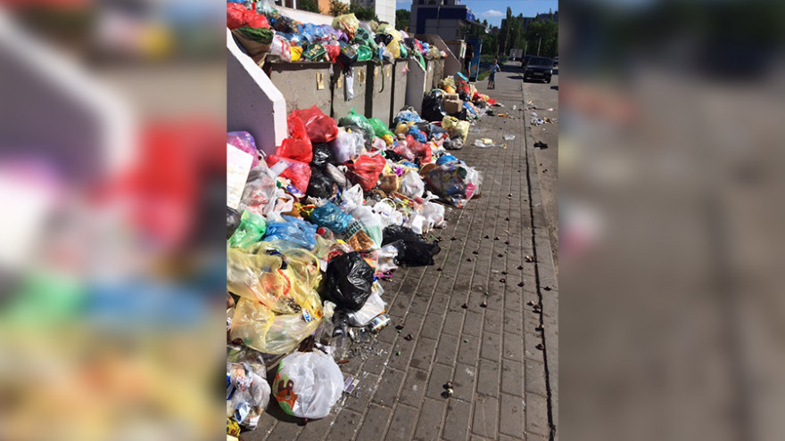 «По мусору – в детсад». Воронежец пожаловался на помойку на тротуаре