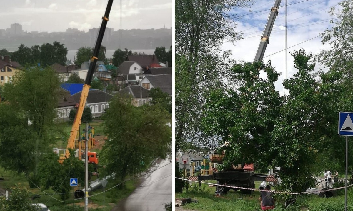 В Воронеже посередине детской площадки установили вышку сотовой связи –  Новости Воронежа и Воронежской области – Вести Воронеж