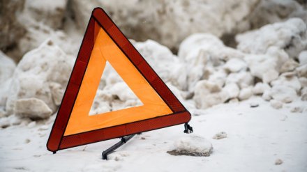 В Воронежской области водитель грузовика устроил смертельное ДТП и скрылся