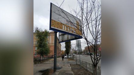 Перегородивший тротуар уродливый рекламный щит снесут после жалоб воронежцев
