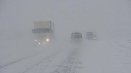 Стало известно число жертв ДТП с автобусом с 26 пассажирами на воронежской трассе