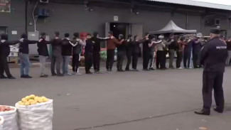 На воронежском рынке выявили 17 мигрантов-уклонистов