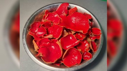 Воронежцы собрали необычные ярко-красные грибы