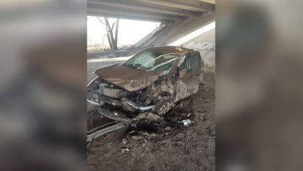 Иномарка упала с Северного моста в Воронеже