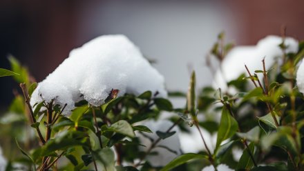 Прогноз погоды в Воронеже на 12.12.2025