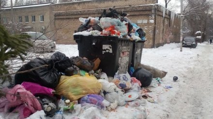 В Воронеже начала работу «горячая линия» для жалоб на неубранный мусор