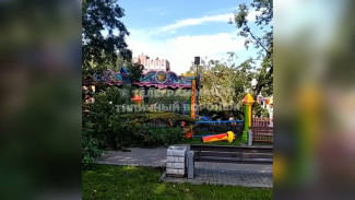 В Воронеже после удара молнии рухнуло дерево на детский парк аттракционов