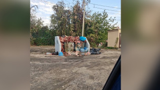 Воронежцев ужаснула гора окровавленных костей в мусорных баках