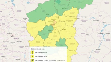 В Воронежской области ввели жёлтый уровень опасности из-за гроз и тумана