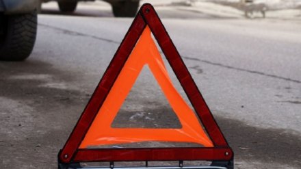 На трассе в Воронежской области легковушка влетела в грузовик: погибли два человека