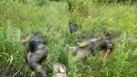 Появились фото с места убийства бойцов ЧВК «‎Вагнер»‎ в Воронежской области