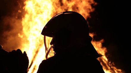 В Воронежской области при пожаре пострадали 2-летний мальчик и 6-летняя девочка