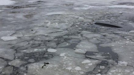 Спасатели предупредили об опасной толщине льда на Воронежском водохранилище